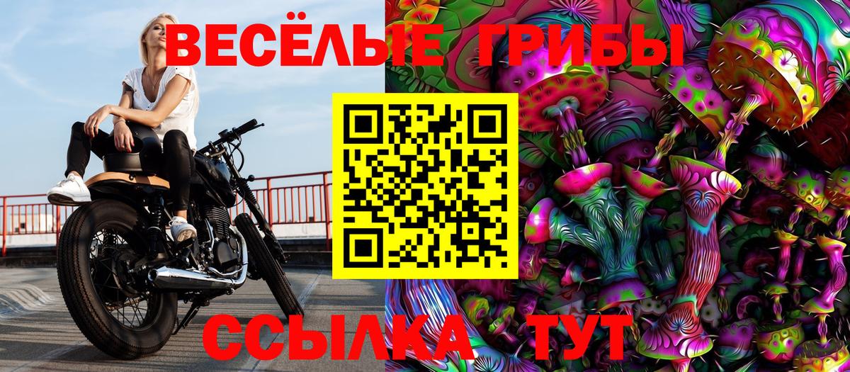 Псилоцибиновые грибы MAGIC MUSHROOMS Аксай